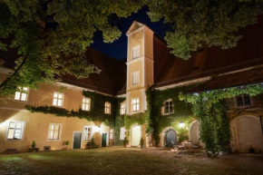 Гостиница Klosterhof St. Salvator  Бад-Грисбах-Им-Ротталь